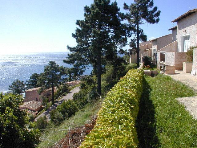 Residence Monte Marina Conca Eksteriør billede